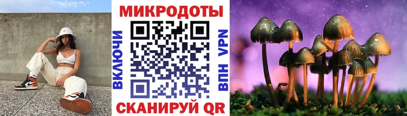 blacksprut сайт  Новоалтайск  Галлюциногенные грибы мухоморы 