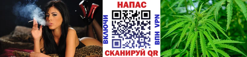 Бошки марихуана THC 21%  Новоалтайск 